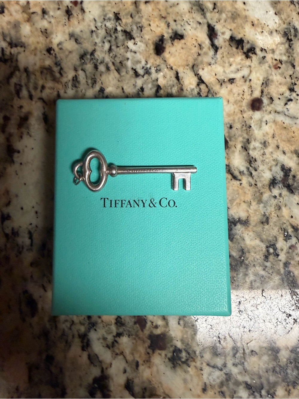Tiffany & Co. Large Silver Key Pendant